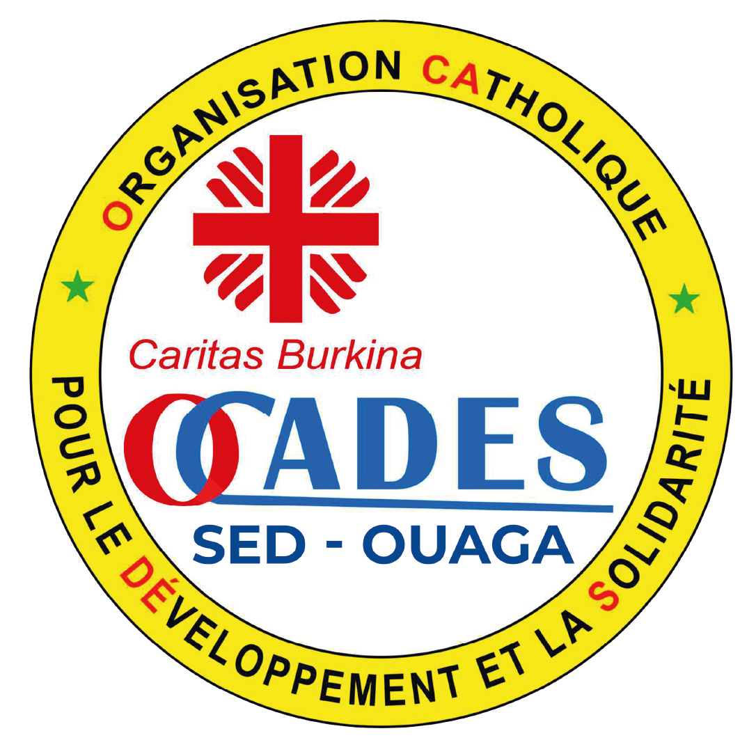 Logo of Caritas Burkina CADES OUAGA: circular emblem with a yellow ring and black text around, red cross motif in the center, and Blue CADES/Sed-Ouaga lettering.